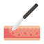 Surgical Dermatology